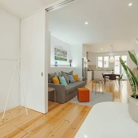 Modern By Hosty *